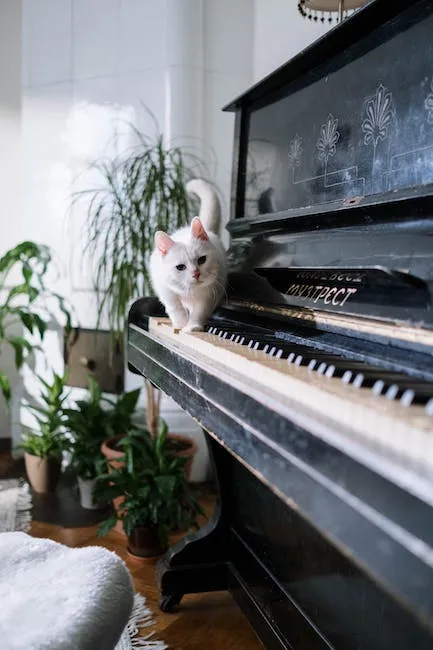 Gato blanco sobre un piano en un hogar luminoso